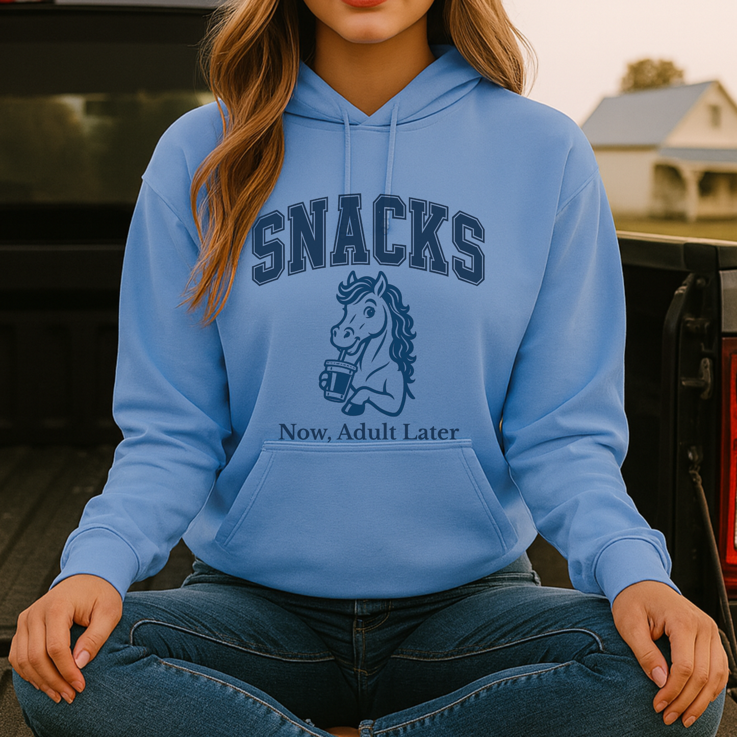 Horse Girl Hoodie, Horse Girl Sweatshirt, Snacks Now Hoodie, Snacks Now Sweatshirt, Animal Lover Hoodie