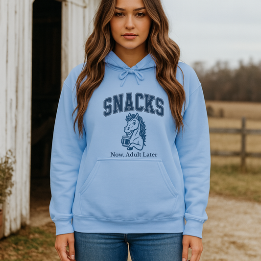 Horse Girl Hoodie, Horse Girl Sweatshirt, Snacks Now Hoodie, Snacks Now Sweatshirt, Animal Lover Hoodie